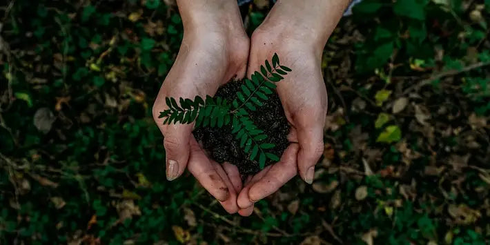 Economie circulaire, pourquoi est-ce important ?
