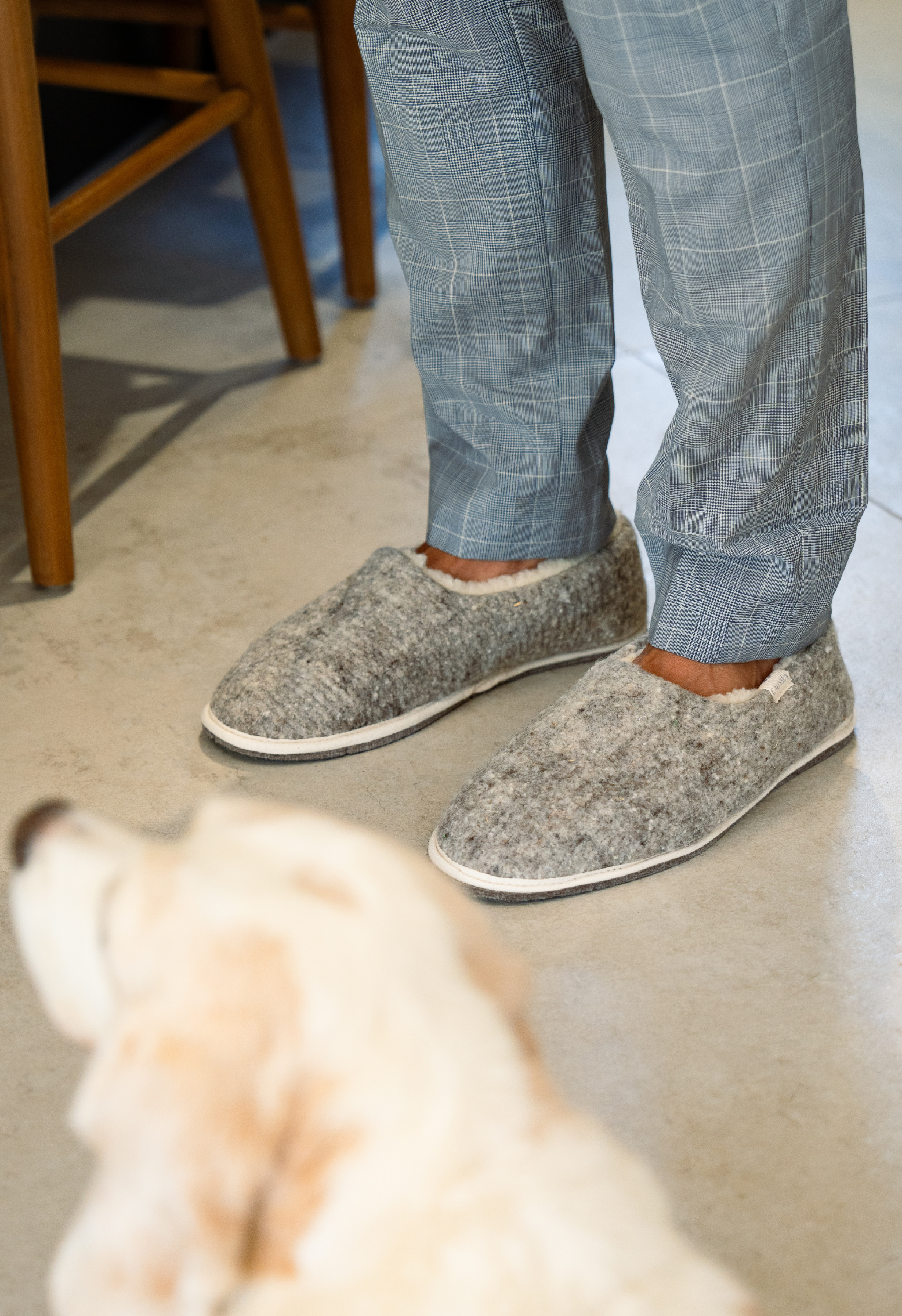 Gros plan sur les pieds d'une personne portant des pantoufles en laine grise, pantalon à carreaux, chien flou au premier plan.