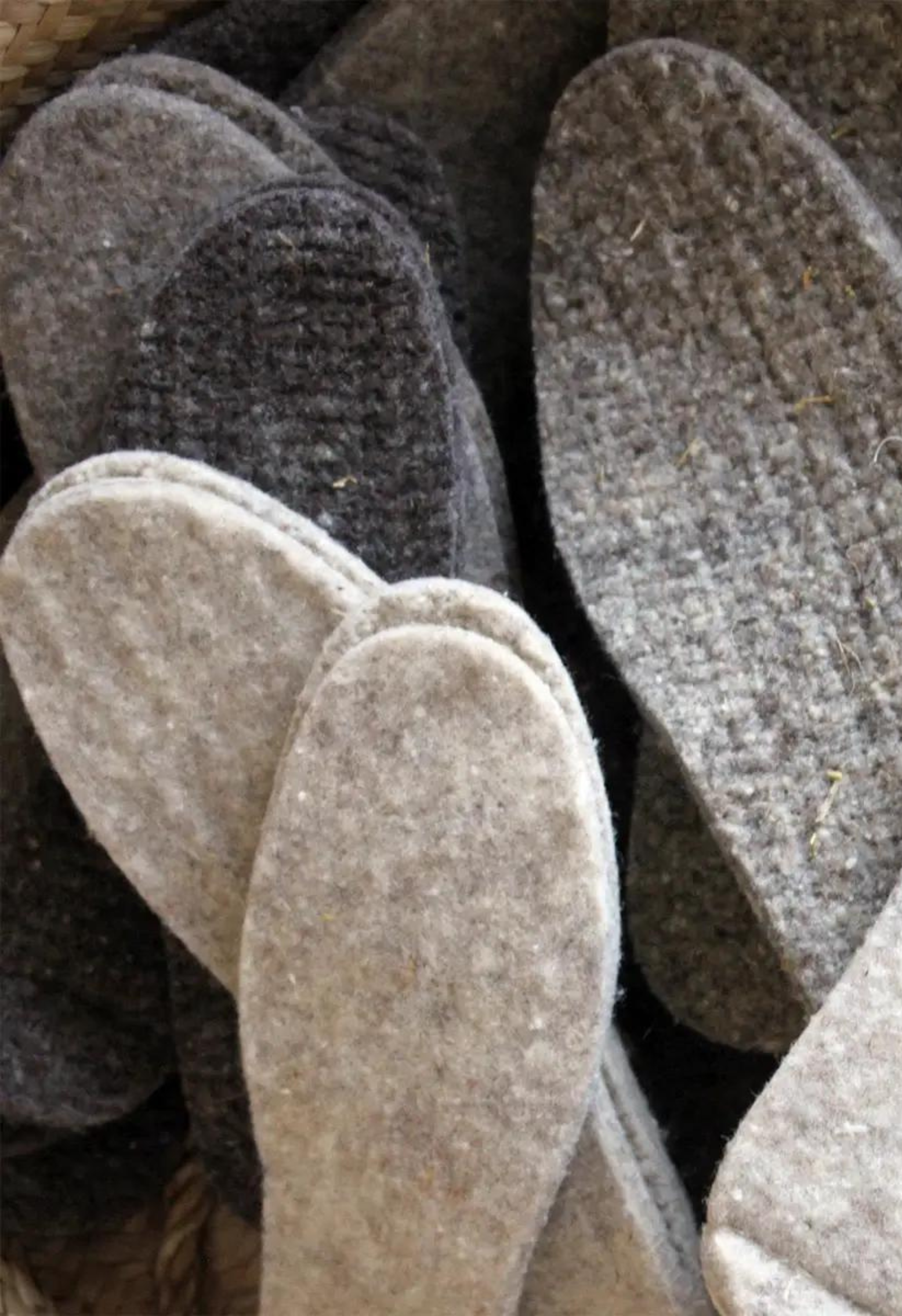 The Sole