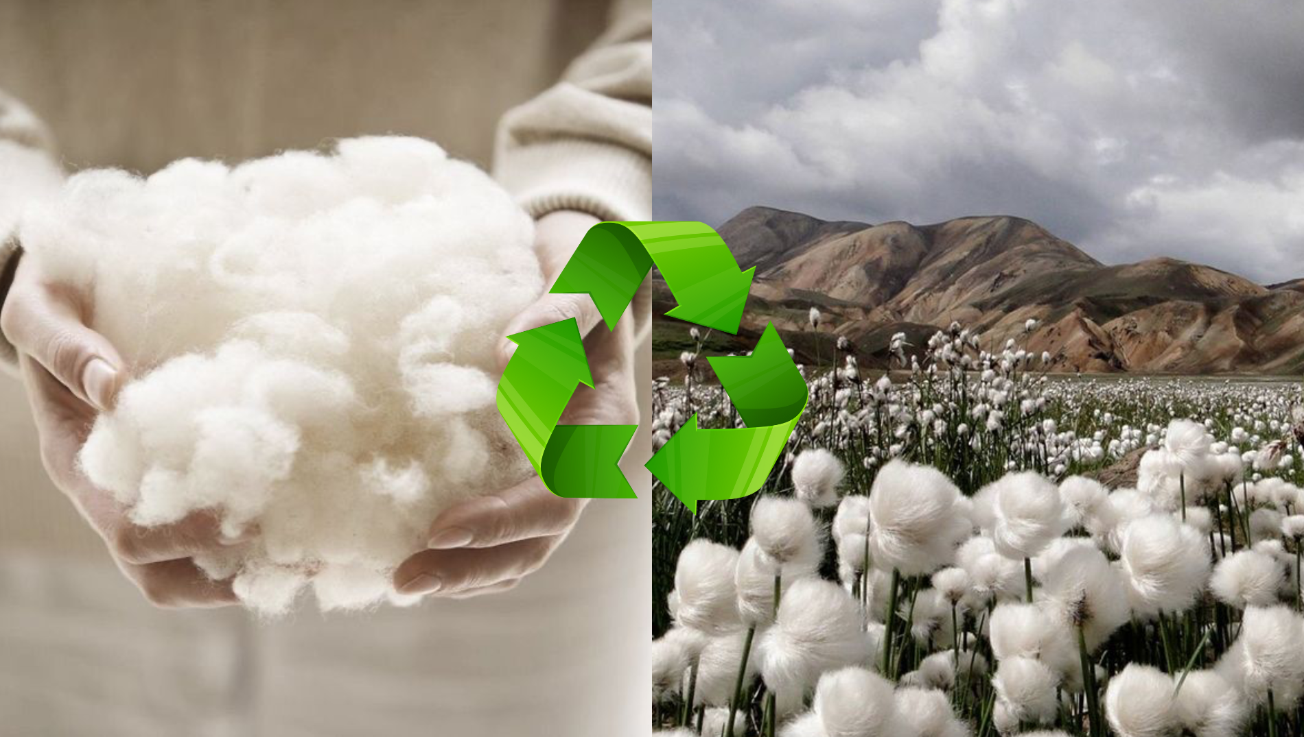 Pantoufles Écologiques : Raisons de Craquer pour le Confort Responsable