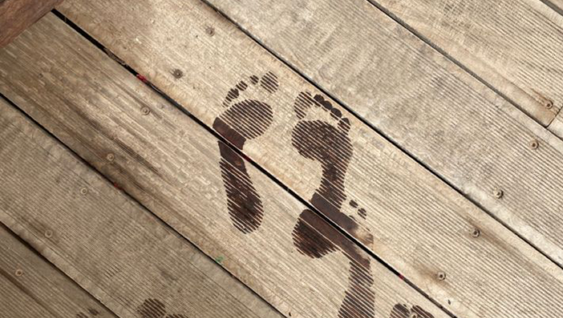 Pieds Moites ? Voici les Pantoufles Idéales pour l’Été
