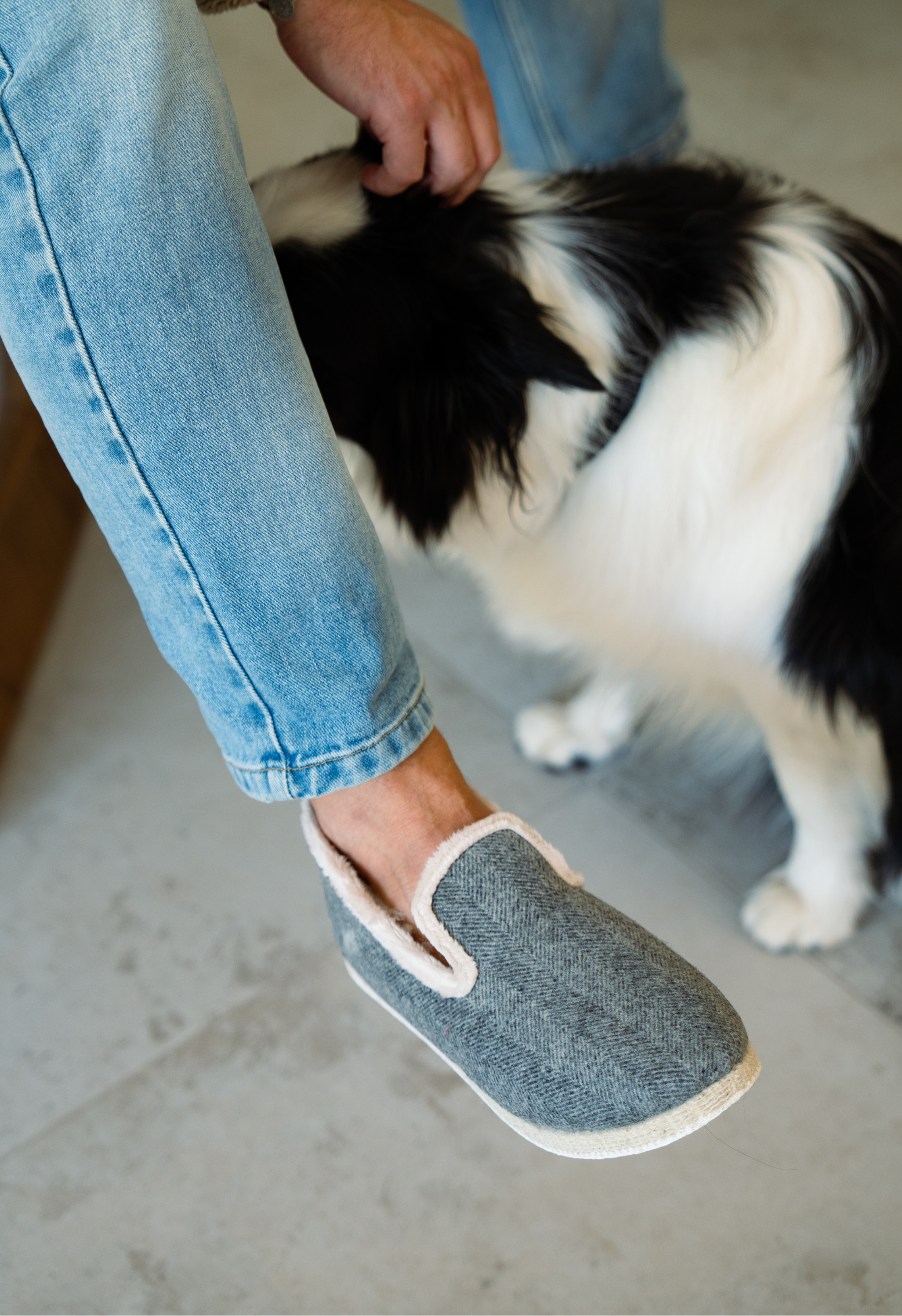 Personne caressant un chien noir et blanc, en jean et pantoufles en tweed gris.