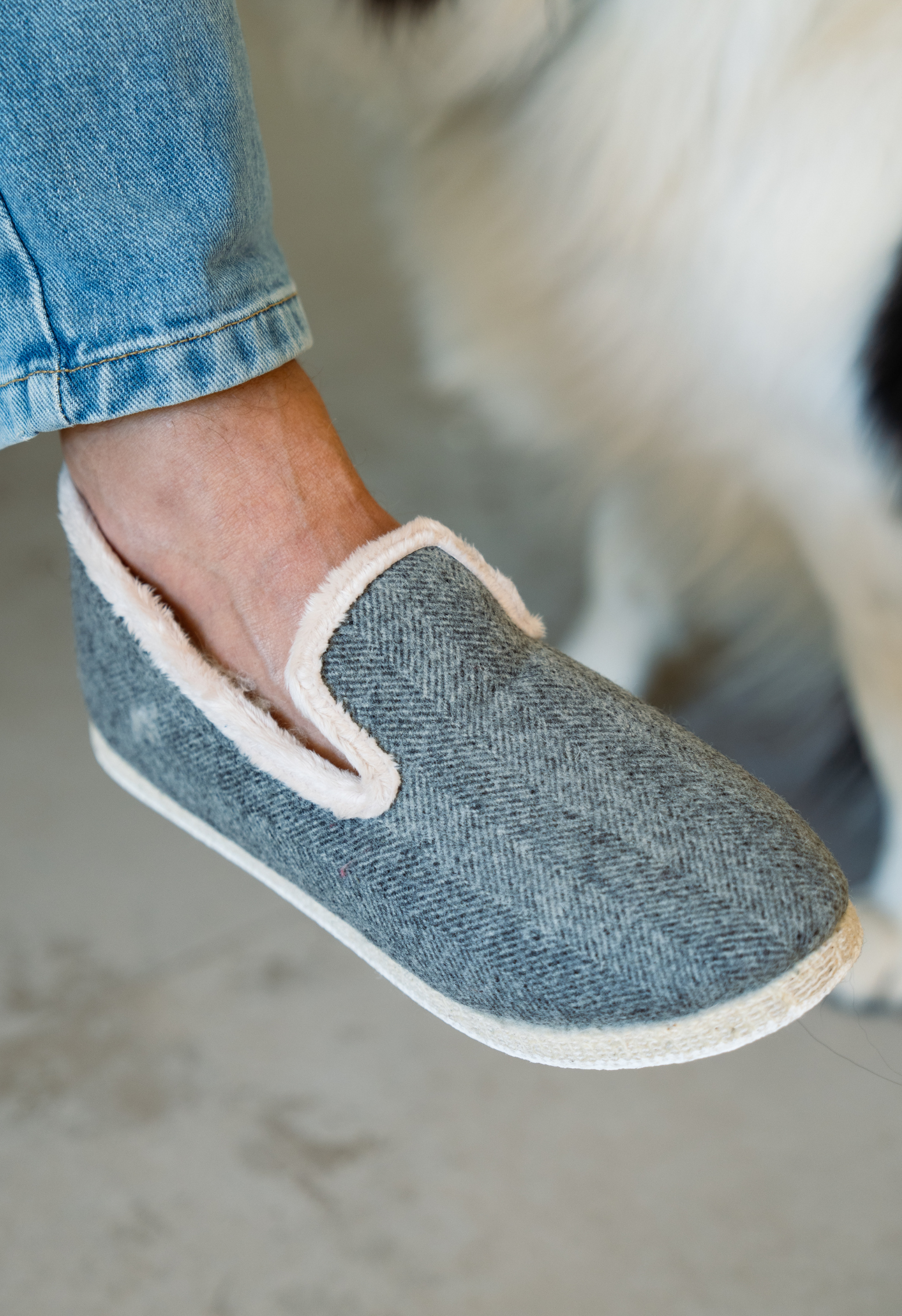 Gros plan d'un pied portant une pantoufle grise. La pantoufle a une doublure en fausse fourrure crème et une semelle de corde. Un chien blanc et noir est flou à l'arrière-plan, avec un jean bleu.